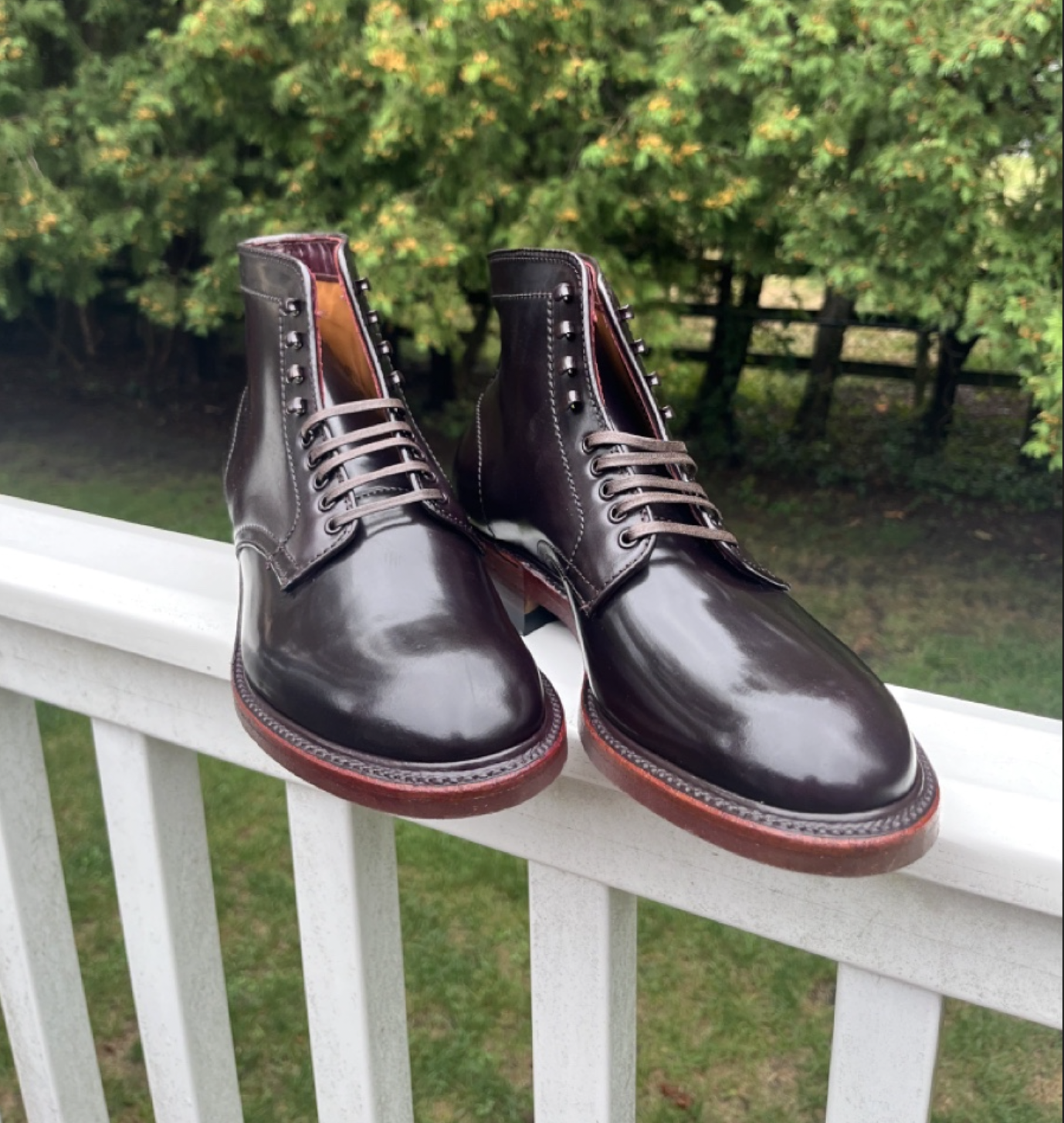 ALDEN 53508 8D Loden Green Lady Calf Green Loden ALDEN Long Wing